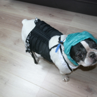 Photo de profil de Buffy