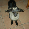 Photo de Side