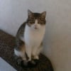 Photo de Vanille