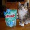 Photo de Cascade
