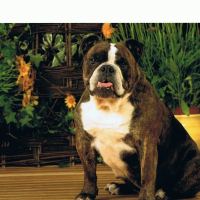 Photo de profil de Telma
