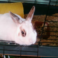 Photo de profil de Clementine