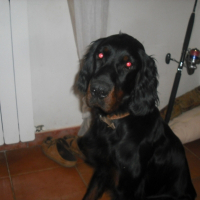 Photo de profil de Diva