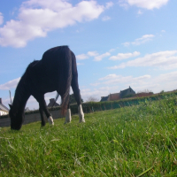 Photo de profil de Surabay du parc