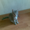 Photo de Kiki