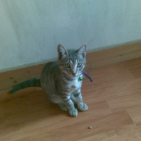 Photo de profil de Kiki