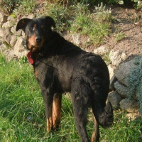 Photo de profil de Tya
