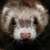 Photo de Lilou