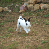 Photo de profil de Lucky