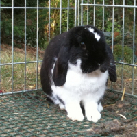 Photo de profil de Crispy