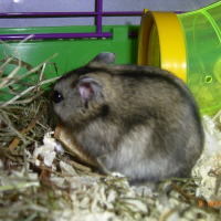 Photo de profil de Titus