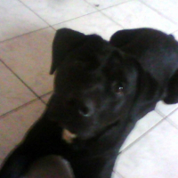 Photo de profil de Coyotte
