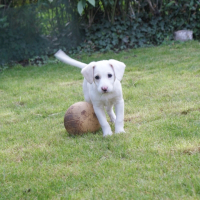Photo de profil de Eros
