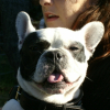 Photo de Dark
