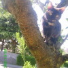 Photo de Baguerra 