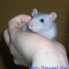 Photo de Lilou