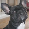 Photo de Rukia