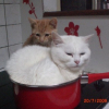 Photo de Lolita