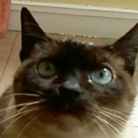 Photo de profil de Sacha