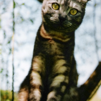 Photo de profil de Chloé