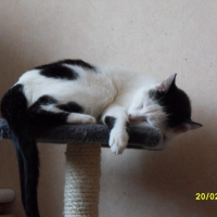 Photo de profil de Milka