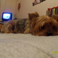 Photo de profil de Belle