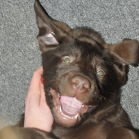 Photo de profil de Stanley