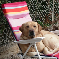 Photo de profil de Seeggey