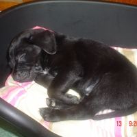 Photo de profil de Black