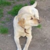 Photo de Ulca