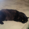 Photo de Bob