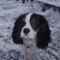Photo de profil de Nenette