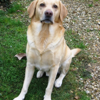 Photo de profil de Stan