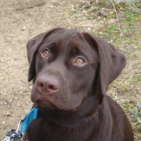 Photo de profil de Drago