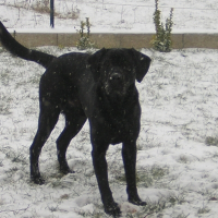 Photo de profil de Calypso