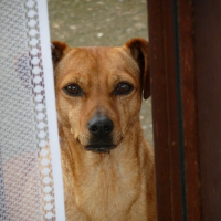 Photo de profil de Venus