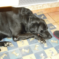 Photo de profil de Scoubidou