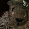 Photo de Gloria