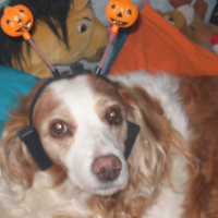 Photo de profil de Elsa
