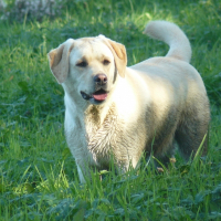 Photo de profil de Era