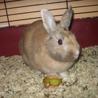 Photo de profil de J&b