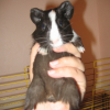 Photo de Milka