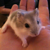 Photo de profil de Pandora