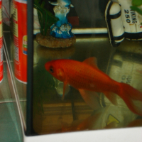 Photo de profil de Maurice