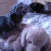 Photo de profil de Praline
