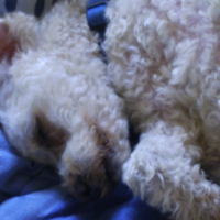 Photo de profil de Titus