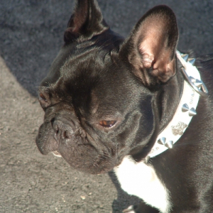 Photo de profil de Eros