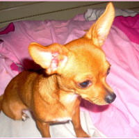 Photo de profil de Queen