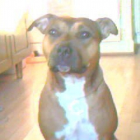 Photo de profil de Chanel 