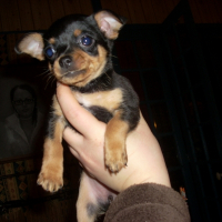 Photo de profil de Fanny